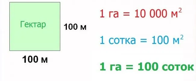 Один гектар