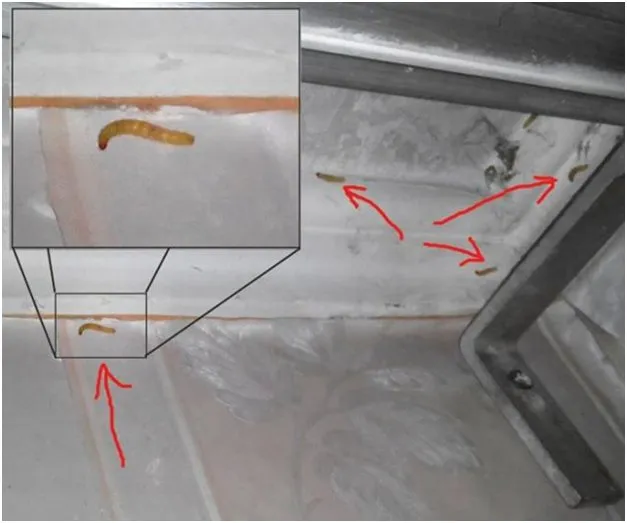 Избавляемся от белых червяков на потолке в кухне