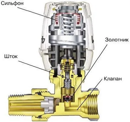 Строение терморегулятора