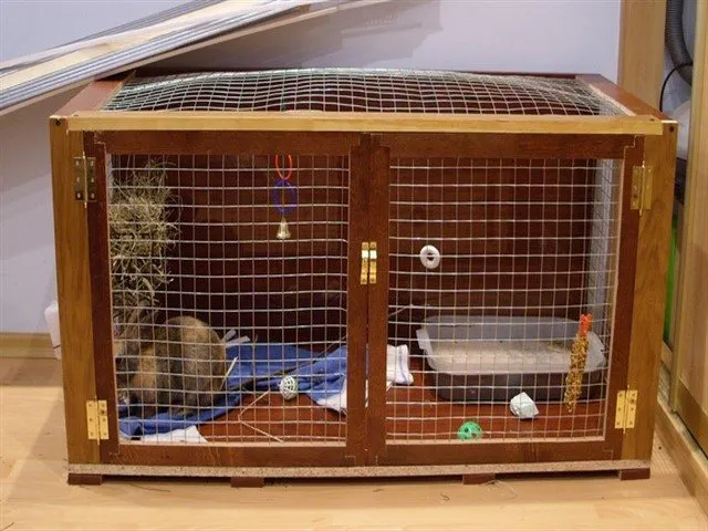клетка для кролика декоративного своими руками для квартиры с размерами