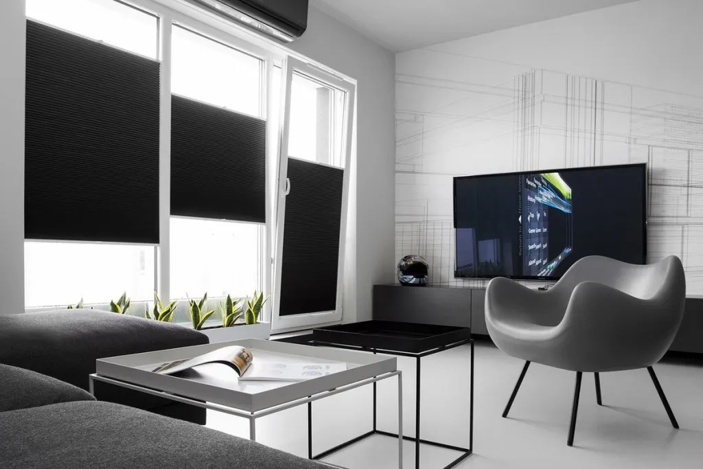 Черные рулонные шторы в гостиной стиля минимализм