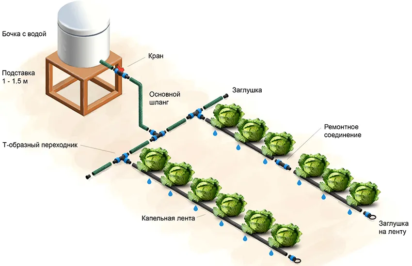 Схема работы капельной системы для полива «Аквадуся»