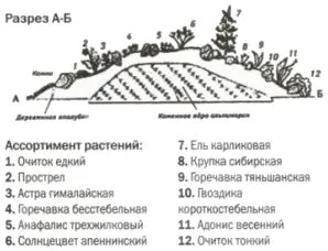 альпинарий своими руками в разрезе многие цветочные магазины предлагают как семена и рассаду растений, предназначенные специально для альпийских горок
