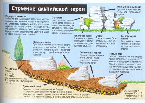 схема установки камней