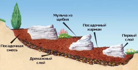 принцип сооружения альпинария принцип сооружения альпинария