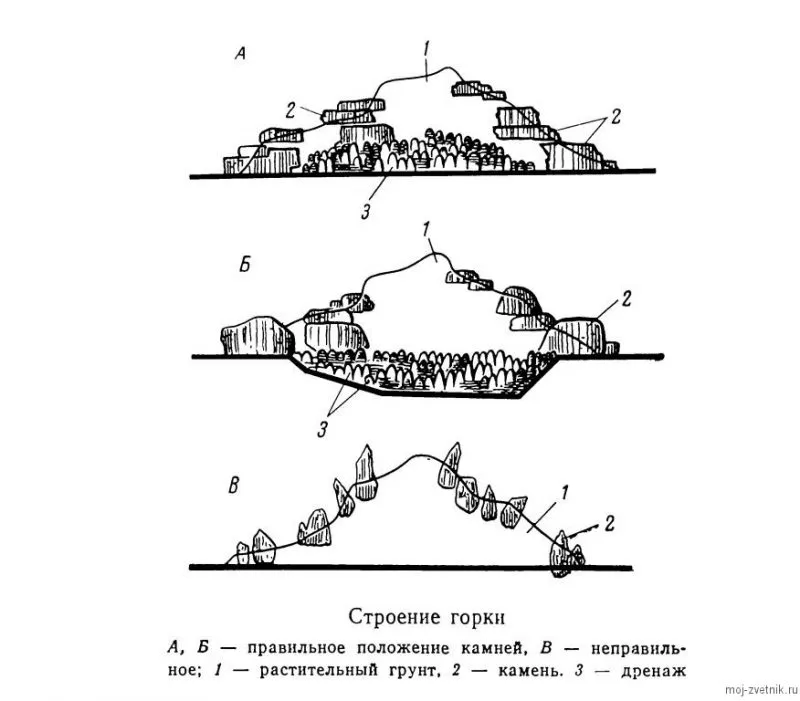 строение альпийской горки