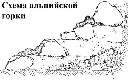 схема расположения камней и растений в альпийской горке