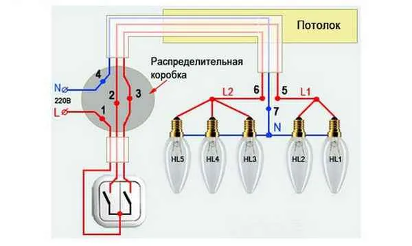 Как подключить двухкнопочный выключатель своими руками