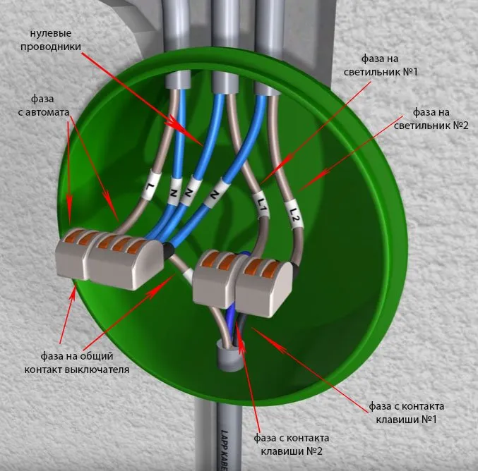 установка проводов двойного двухкнопочного переключателя в распределительную коробку