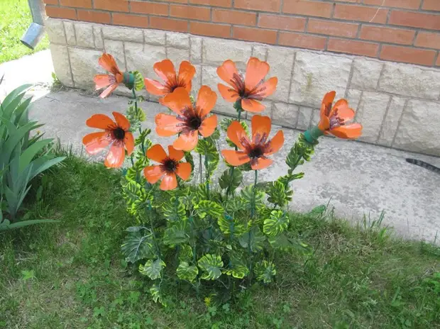 Маки из бутылок - делаем сами