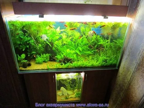 Освещение аквариума с растениями