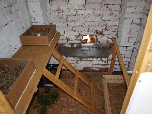 Линолеум в птичнике. 