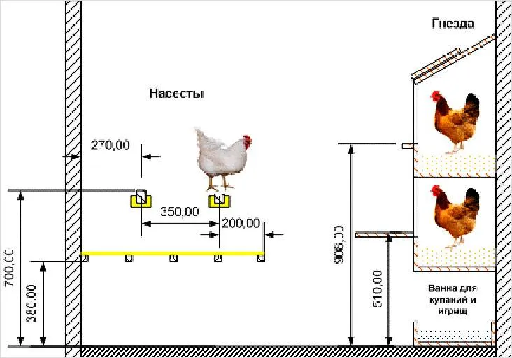 Схема расположения насеста и гнезд по отношению друг к другу