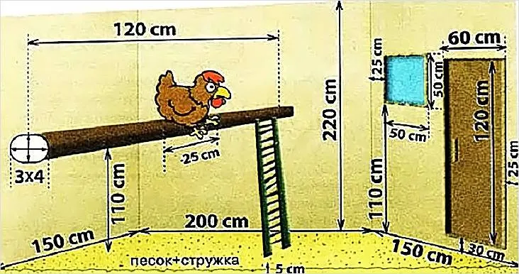 Схема расстояния между важными элементами курятника