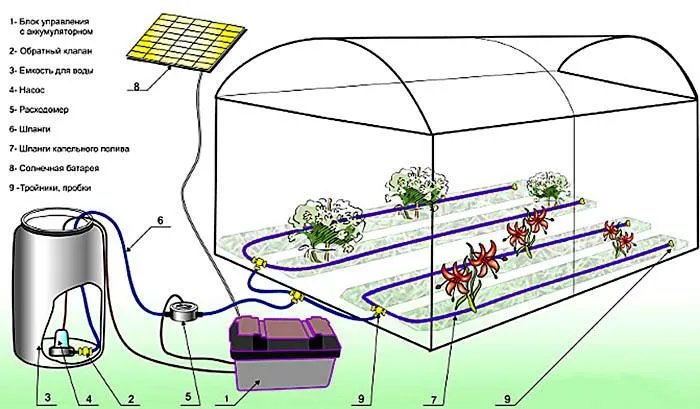 На схеме демонстрируется простая конструкция капельного полива
