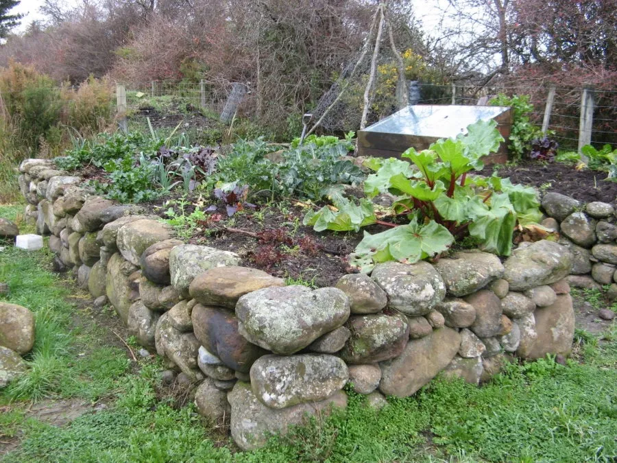 Каменная грядка с овощами на садовом участке